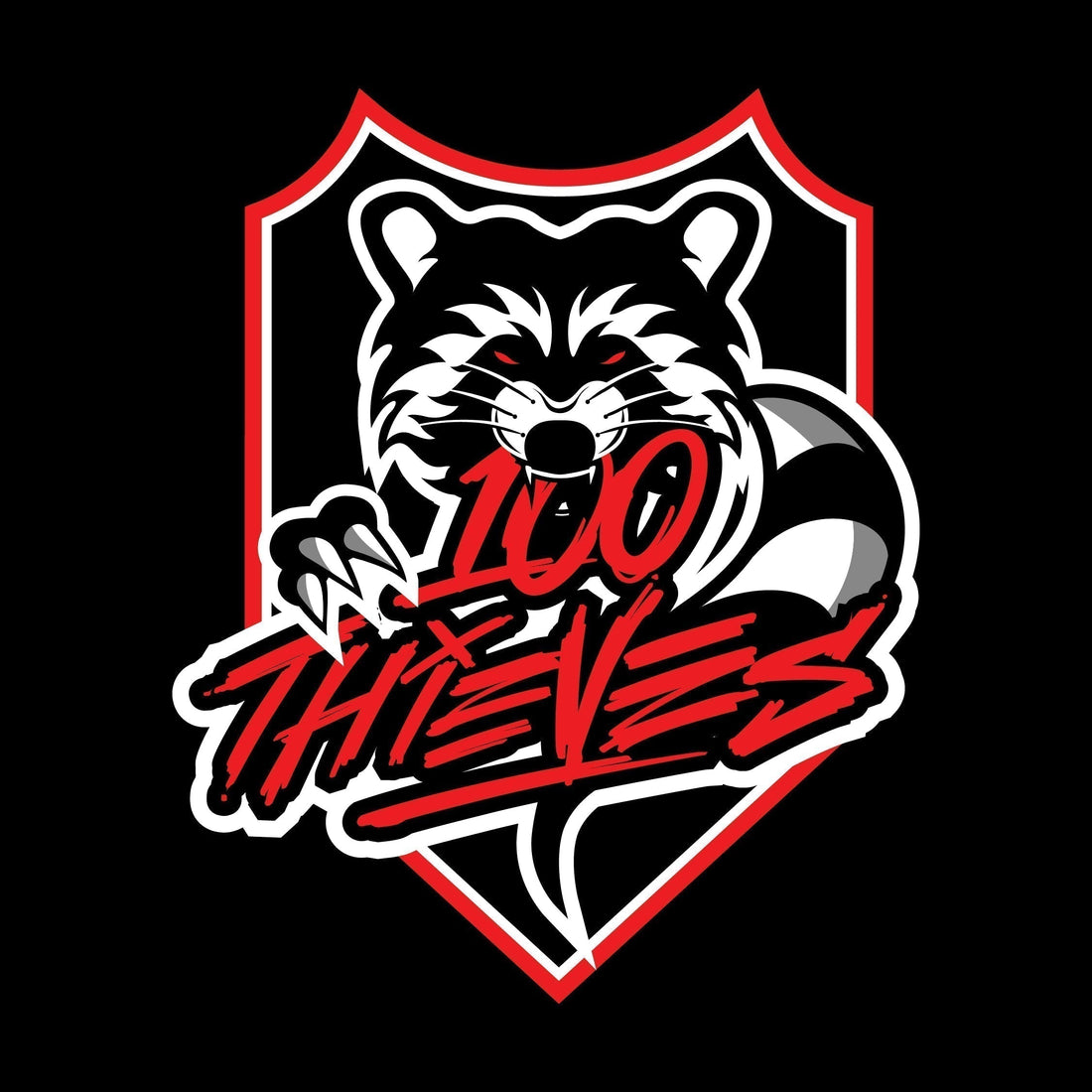 100 Thieves x Crazy Raccoon Pop-Up