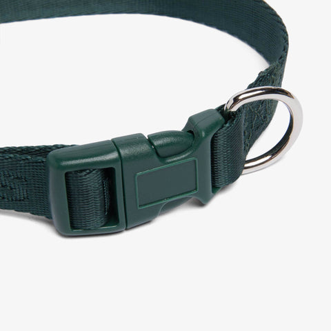 Gary Dog Collar 