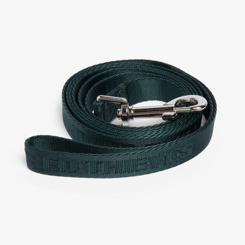 Gary Dog Collar & Leash 