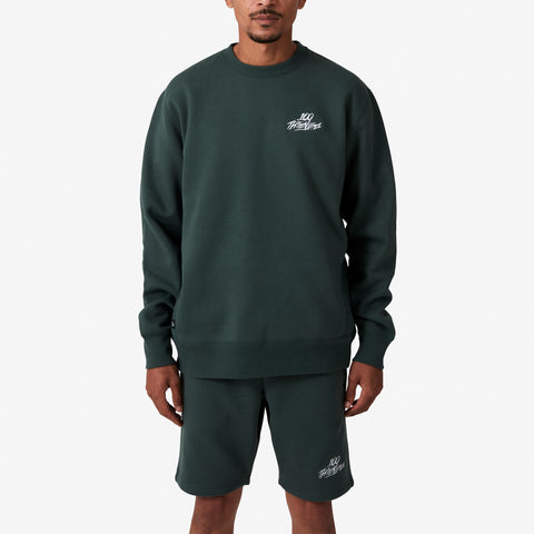 Foundations Alpine heavy-weighted crewneck